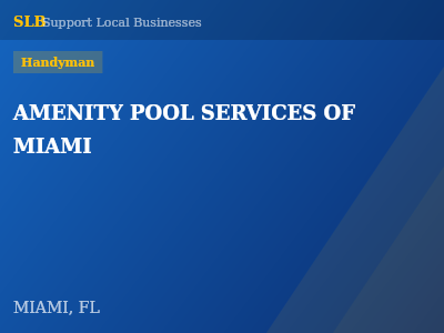 AMENITY POOL SERVICES OF MIAMI — Handyman in MIAMI, FL