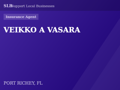 VEIKKO A VASARA — Insurance Agent in PORT RICHEY, FL
