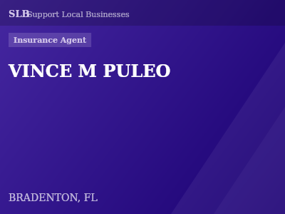VINCE M PULEO — Insurance Agent in BRADENTON, FL