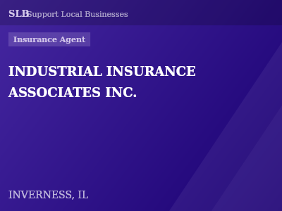 INDUSTRIAL INSURANCE ASSOCIATES INC. — Insurance Agent in INVERNESS, IL
