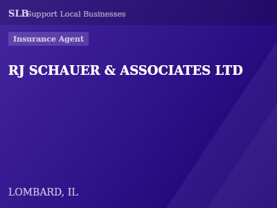 RJ SCHAUER & ASSOCIATES LTD — Insurance Agent in LOMBARD, IL