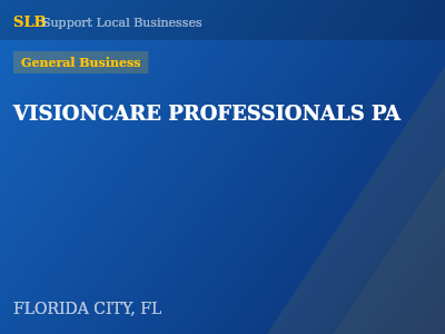 VISIONCARE PROFESSIONALS PA — General Business in FLORIDA CITY, FL
