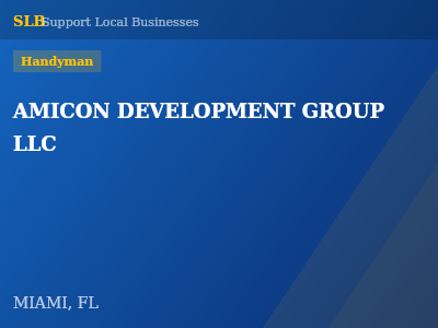 AMICON DEVELOPMENT GROUP LLC — Handyman in MIAMI, FL