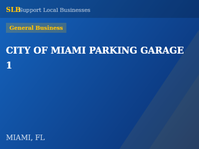 CITY OF MIAMI PARKING GARAGE 1 — General Business in MIAMI, FL