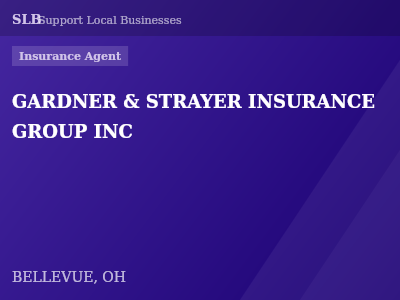 GARDNER & STRAYER INSURANCE GROUP INC — Insurance Agent in BELLEVUE, OH