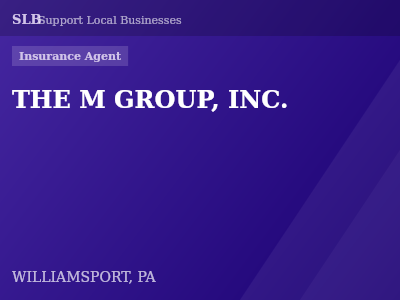 THE M GROUP, INC. — Insurance Agent in WILLIAMSPORT, PA
