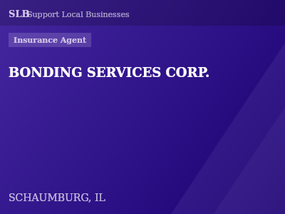 BONDING SERVICES CORP. — Insurance Agent in SCHAUMBURG, IL