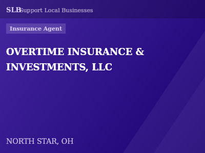 OVERTIME INSURANCE & INVESTMENTS, LLC — Insurance Agent in NORTH STAR, OH