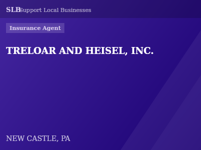 TRELOAR AND HEISEL, INC. — Insurance Agent in NEW CASTLE, PA
