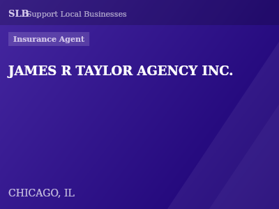 JAMES R TAYLOR AGENCY INC. — Insurance Agent in CHICAGO, IL