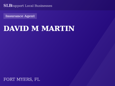 DAVID M MARTIN — Insurance Agent in FORT MYERS, FL
