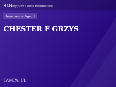 CHESTER F GRZYS — Insurance Agent in TAMPA, FL