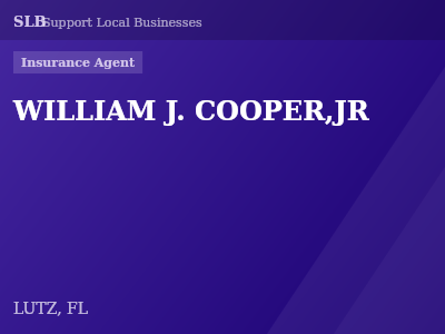 WILLIAM J. COOPER,JR — Insurance Agent in LUTZ, FL