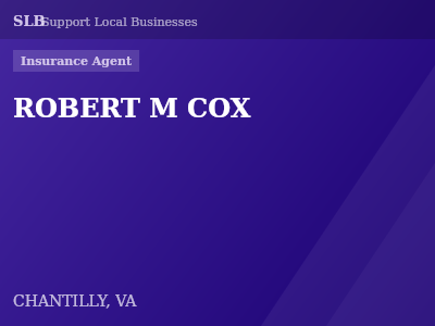 ROBERT M COX — Insurance Agent in CHANTILLY, VA