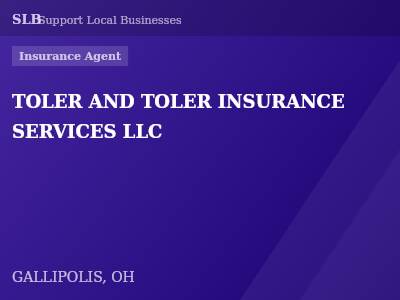 TOLER AND TOLER INSURANCE SERVICES LLC — Insurance Agent in GALLIPOLIS, OH