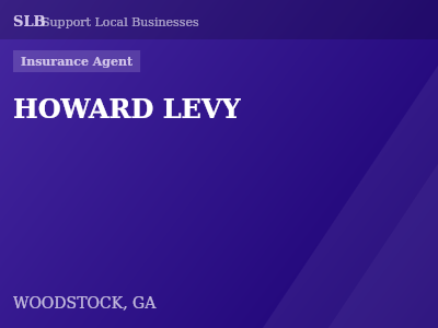 HOWARD LEVY — Insurance Agent in WOODSTOCK, GA