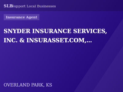 SNYDER INSURANCE SERVICES, INC. & INSURASSET.COM, INC. — Insurance Agent in OVERLAND PARK, KS
