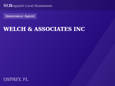 WELCH & ASSOCIATES INC — Insurance Agent in OSPREY, FL