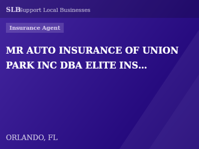 MR AUTO INSURANCE OF UNION PARK INC DBA ELITE INSURANCE GROUP — Insurance Agent in ORLANDO, FL
