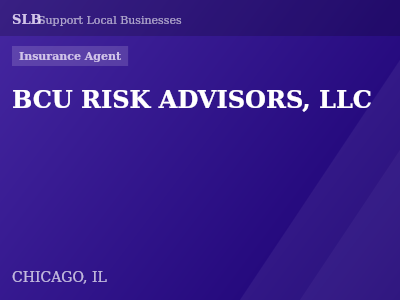 BCU RISK ADVISORS, LLC — Insurance Agent in CHICAGO, IL