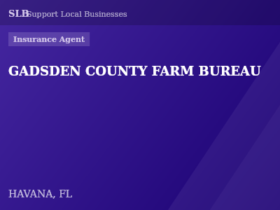 GADSDEN COUNTY FARM BUREAU — Insurance Agent in HAVANA, FL