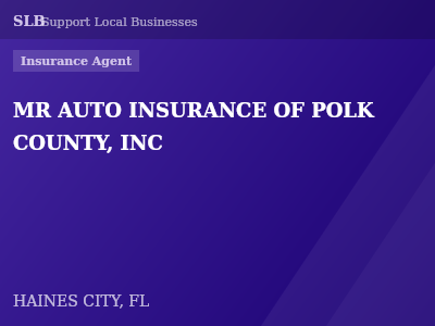 MR AUTO INSURANCE OF POLK COUNTY, INC — Insurance Agent in HAINES CITY, FL