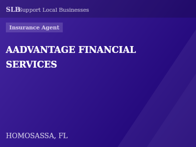 AADVANTAGE FINANCIAL SERVICES — Insurance Agent in HOMOSASSA, FL