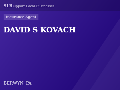 DAVID S KOVACH — Insurance Agent in BERWYN, PA