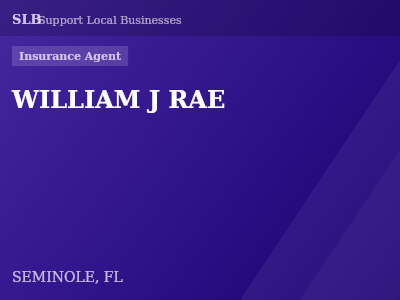 WILLIAM J RAE — Insurance Agent in SEMINOLE, FL