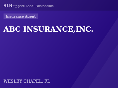 ABC INSURANCE,INC. — Insurance Agent in WESLEY CHAPEL, FL