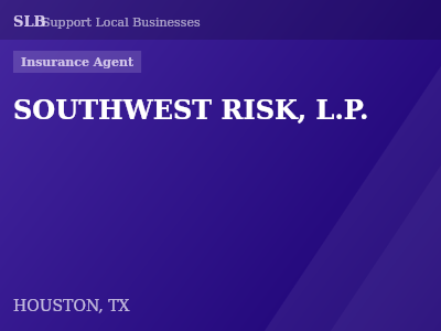 SOUTHWEST RISK, L.P. — Insurance Agent in HOUSTON, TX