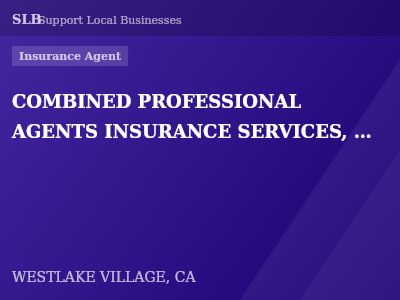 COMBINED PROFESSIONAL AGENTS INSURANCE SERVICES, INC. — Insurance Agent in WESTLAKE VILLAGE, CA