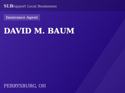 DAVID M. BAUM — Insurance Agent in PERRYSBURG, OH