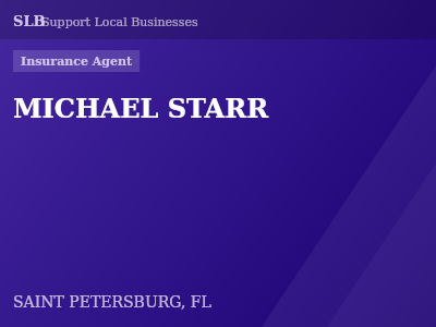 MICHAEL STARR — Insurance Agent in SAINT PETERSBURG, FL