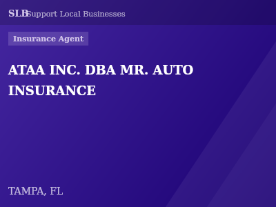 ATAA INC. DBA MR. AUTO INSURANCE — Insurance Agent in TAMPA, FL