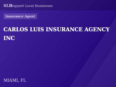 CARLOS LUIS INSURANCE AGENCY INC — Insurance Agent in MIAMI, FL