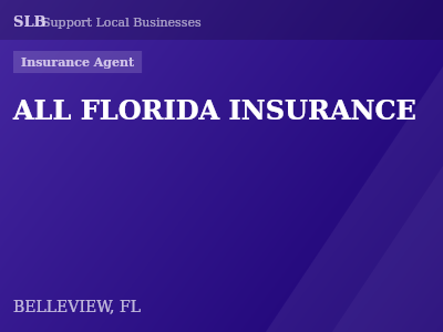 ALL FLORIDA INSURANCE — Insurance Agent in BELLEVIEW, FL
