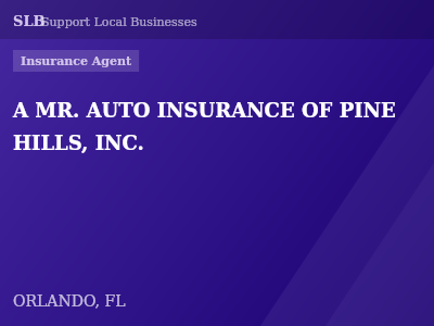 A MR. AUTO INSURANCE OF PINE HILLS, INC. — Insurance Agent in ORLANDO, FL