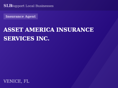ASSET AMERICA INSURANCE SERVICES INC. — Insurance Agent in VENICE, FL