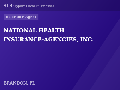 NATIONAL HEALTH INSURANCE-AGENCIES, INC. — Insurance Agent in BRANDON, FL