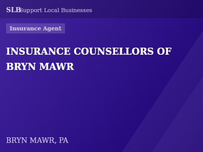INSURANCE COUNSELLORS OF BRYN MAWR — Insurance Agent in BRYN MAWR, PA