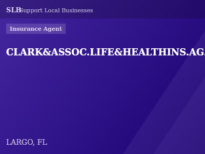 CLARK&ASSOC.LIFE&HEALTHINS.AG.INC. — Insurance Agent in LARGO, FL