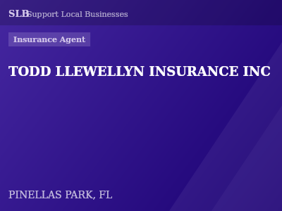 TODD LLEWELLYN INSURANCE INC — Insurance Agent in PINELLAS PARK, FL
