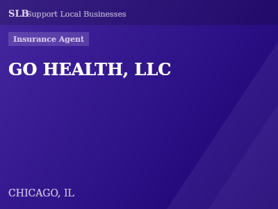 GO HEALTH, LLC — Insurance Agent in CHICAGO, IL
