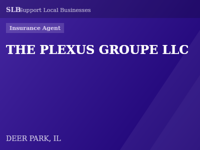 THE PLEXUS GROUPE LLC — Insurance Agent in DEER PARK, IL