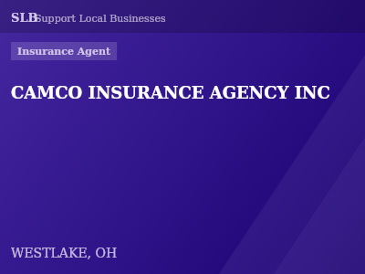 CAMCO INSURANCE AGENCY INC — Insurance Agent in WESTLAKE, OH