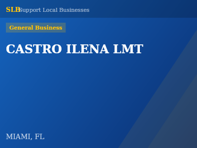 CASTRO ILENA LMT — General Business in MIAMI, FL