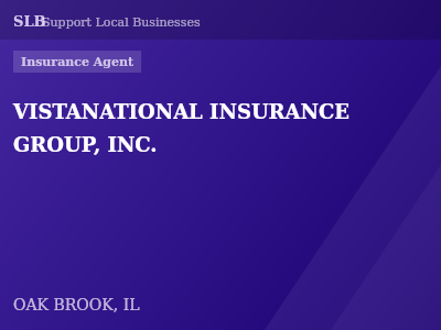 VISTANATIONAL INSURANCE GROUP, INC. — Insurance Agent in OAK BROOK, IL