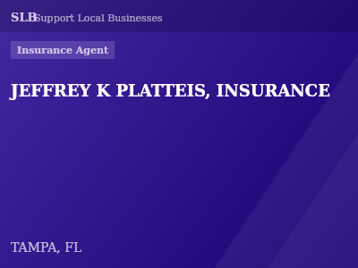 JEFFREY K PLATTEIS, INSURANCE — Insurance Agent in TAMPA, FL