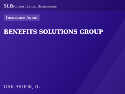 BENEFITS SOLUTIONS GROUP — Insurance Agent in OAK BROOK, IL